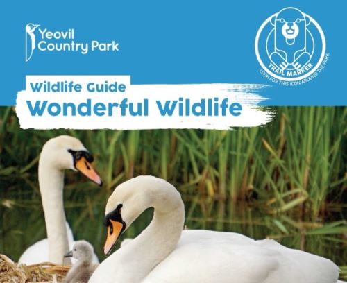 Wonderful Wildlife at Yeovil Country Park