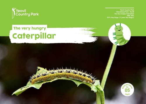 Caterpillar