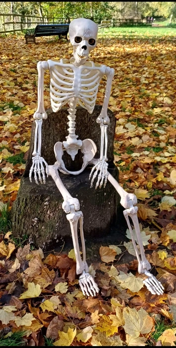 Howling Halloween Trail