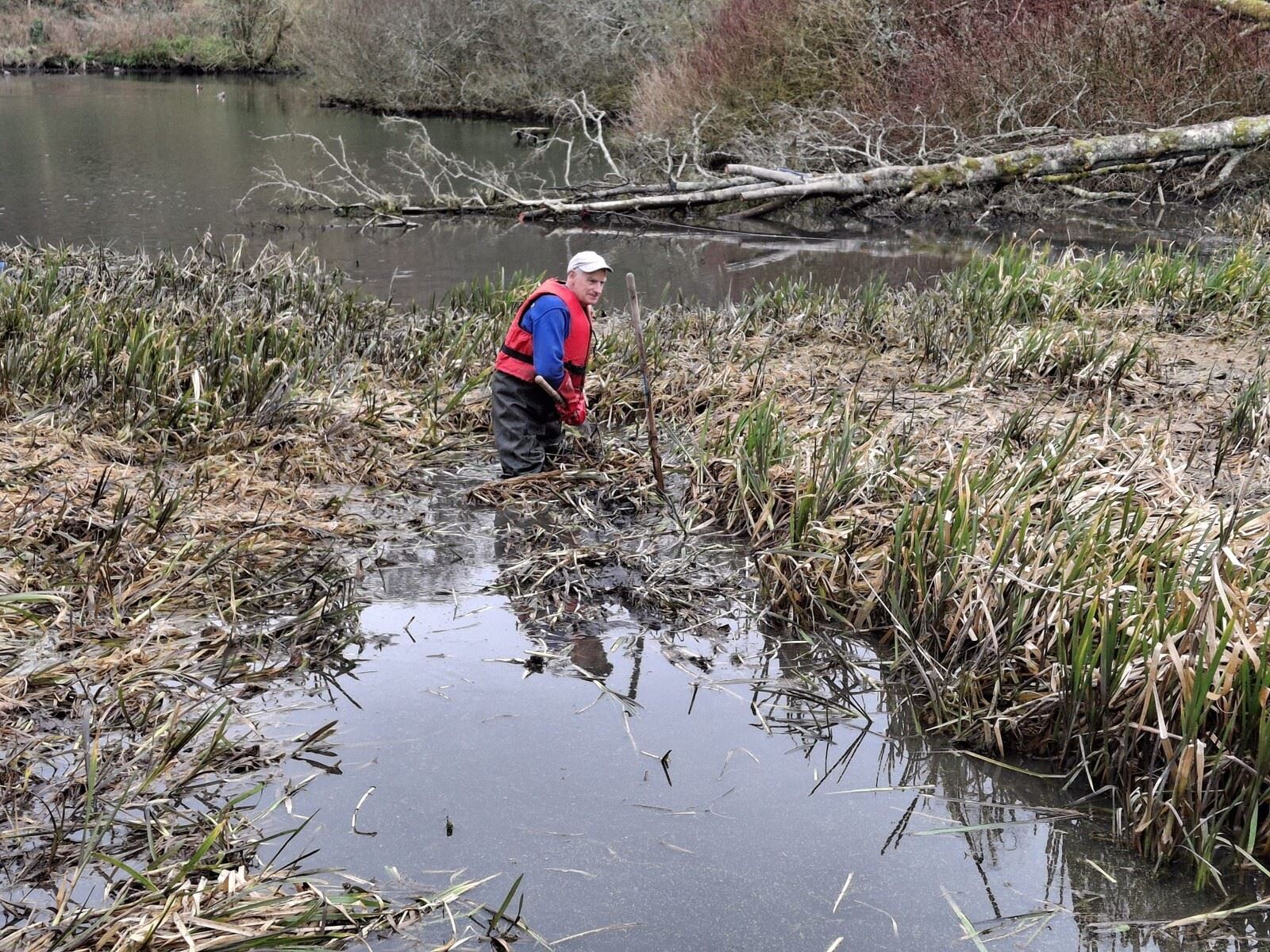 Practical Volunteering